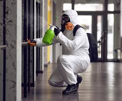 Why You Should Choose Our Mold Remediation Services in El Verano, CA